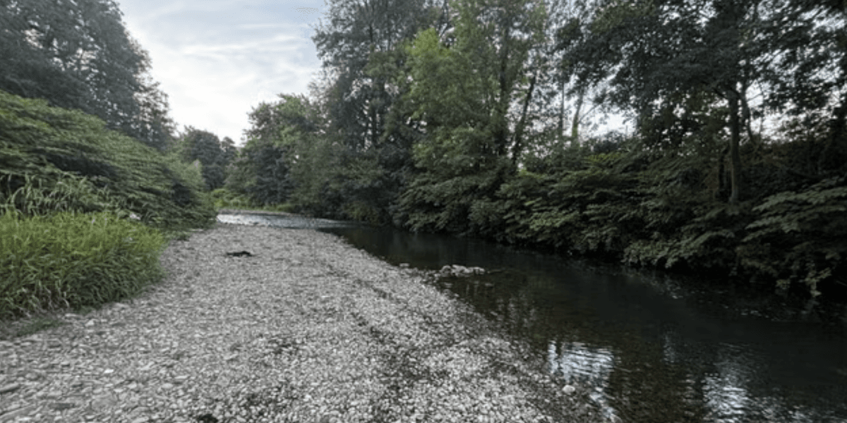 Drought extended across whole of Wales as Britain grapples with 'exceptionally high' temperatures