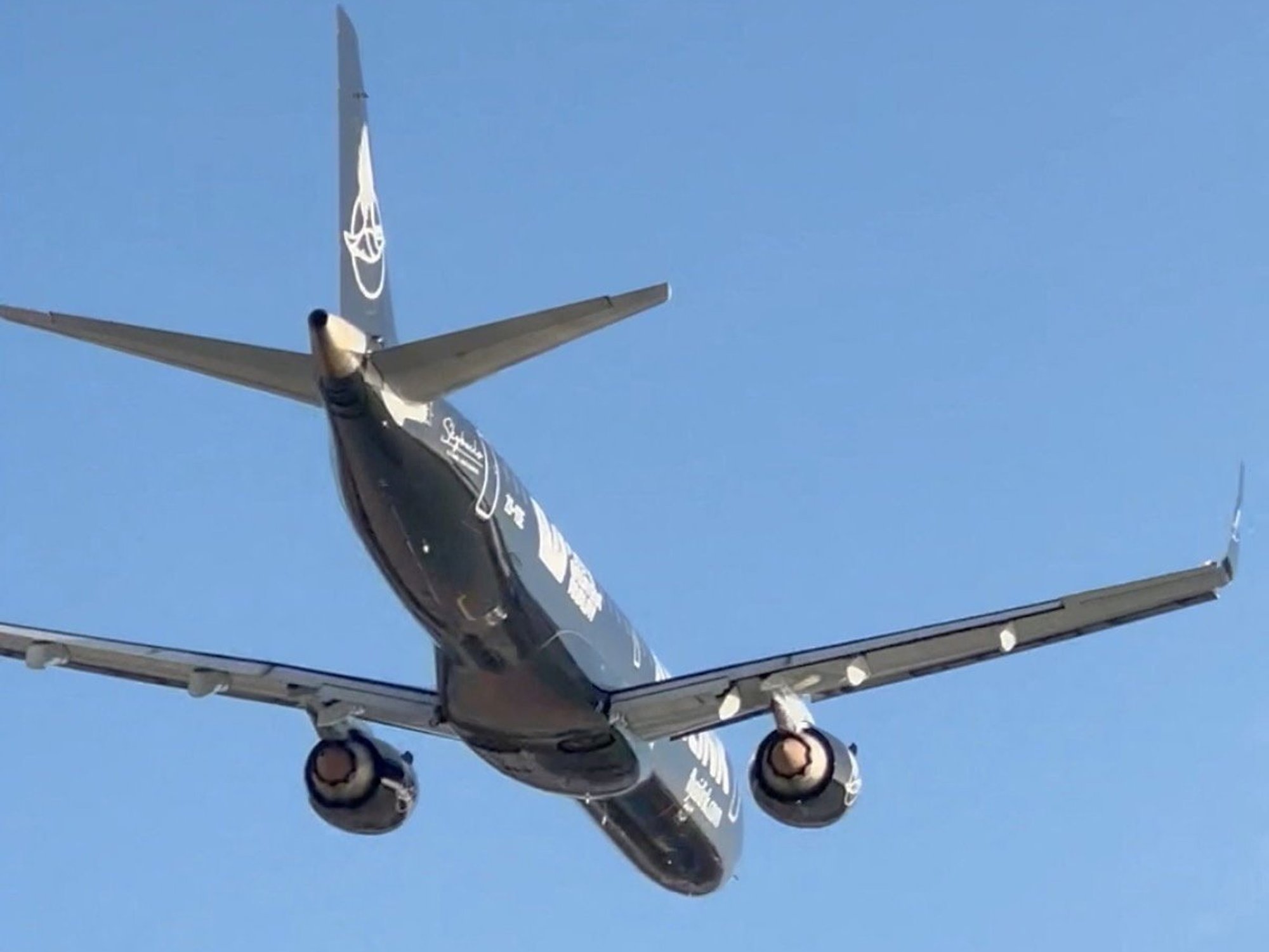A flyiver