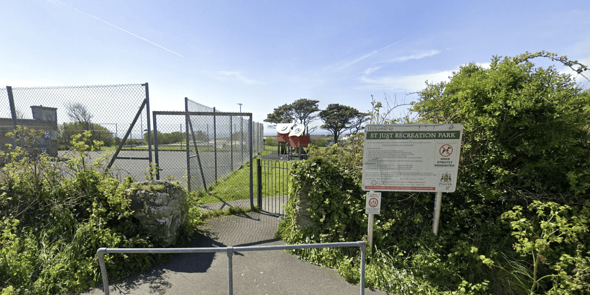 Council sparks fury by removing play equipment from popular park