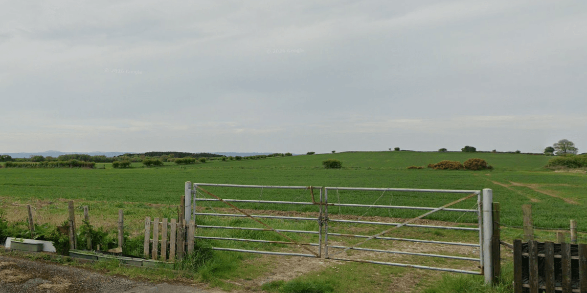Travellers 'rip up' protected field with bulldozers as terrified locals fear bank holiday 'land grab'