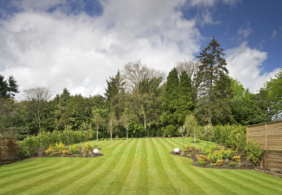 A recently mowed lawn, decorated with some flower beds