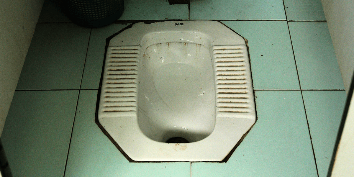 Labour council installs squat toilets 'preferred by foreign visitors' that locals must pay to use