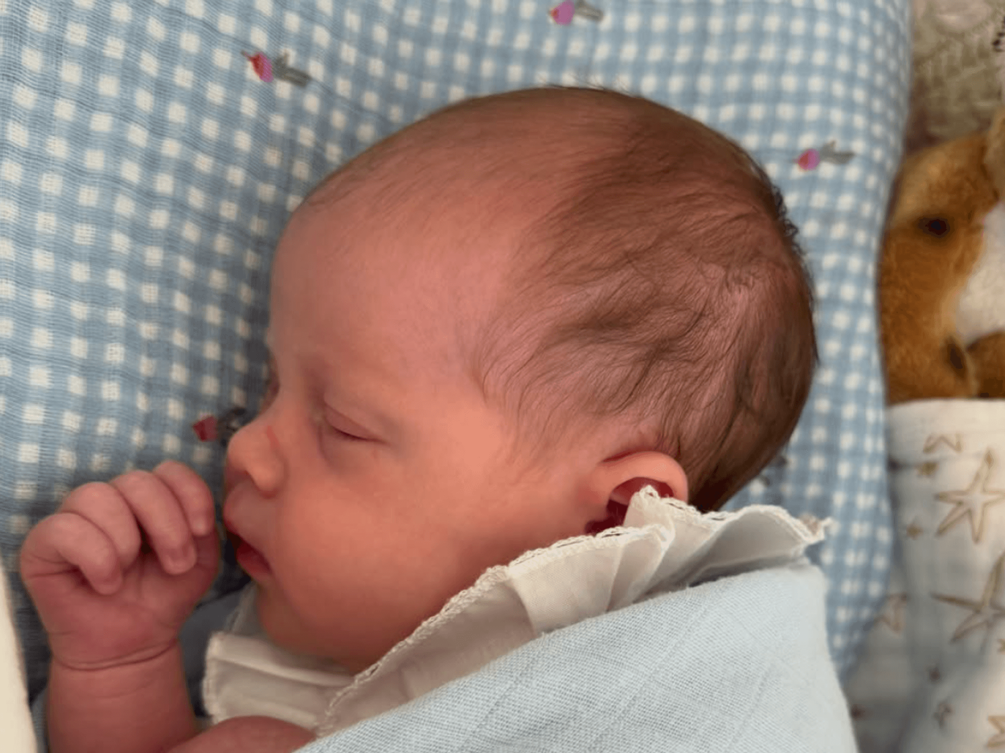 Adelaide Elizabeth Annina Brooksbank