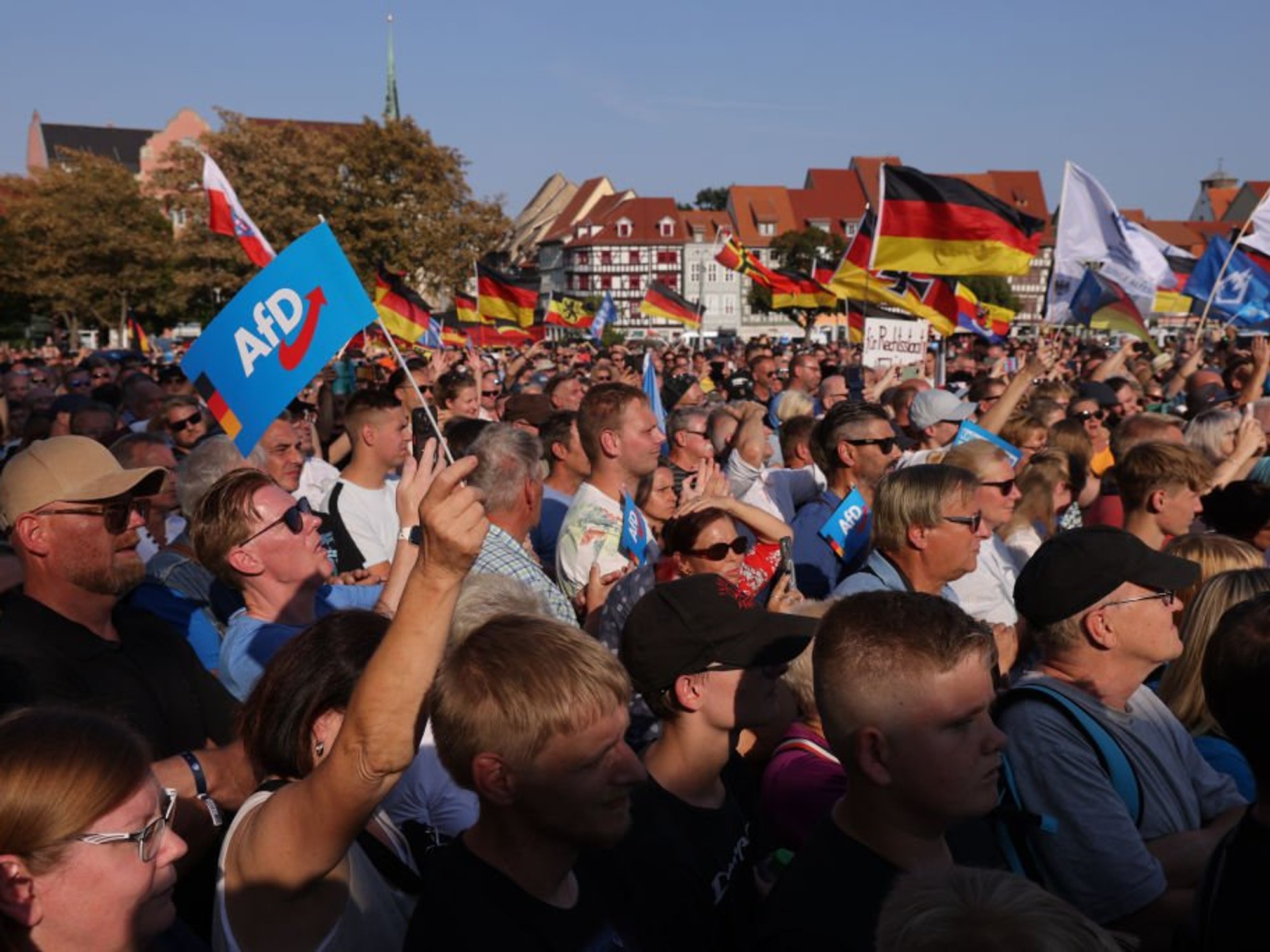 AfD rally