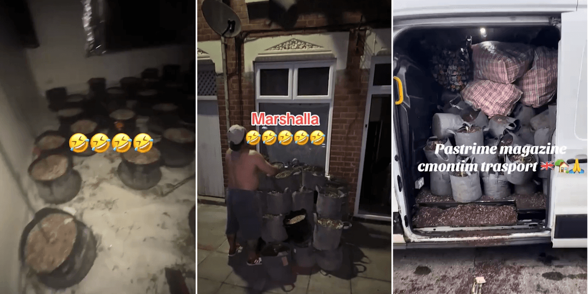 Albanian crime gangs caught offering 'one-stop shop' to set up cannabis farms in Britons' homes