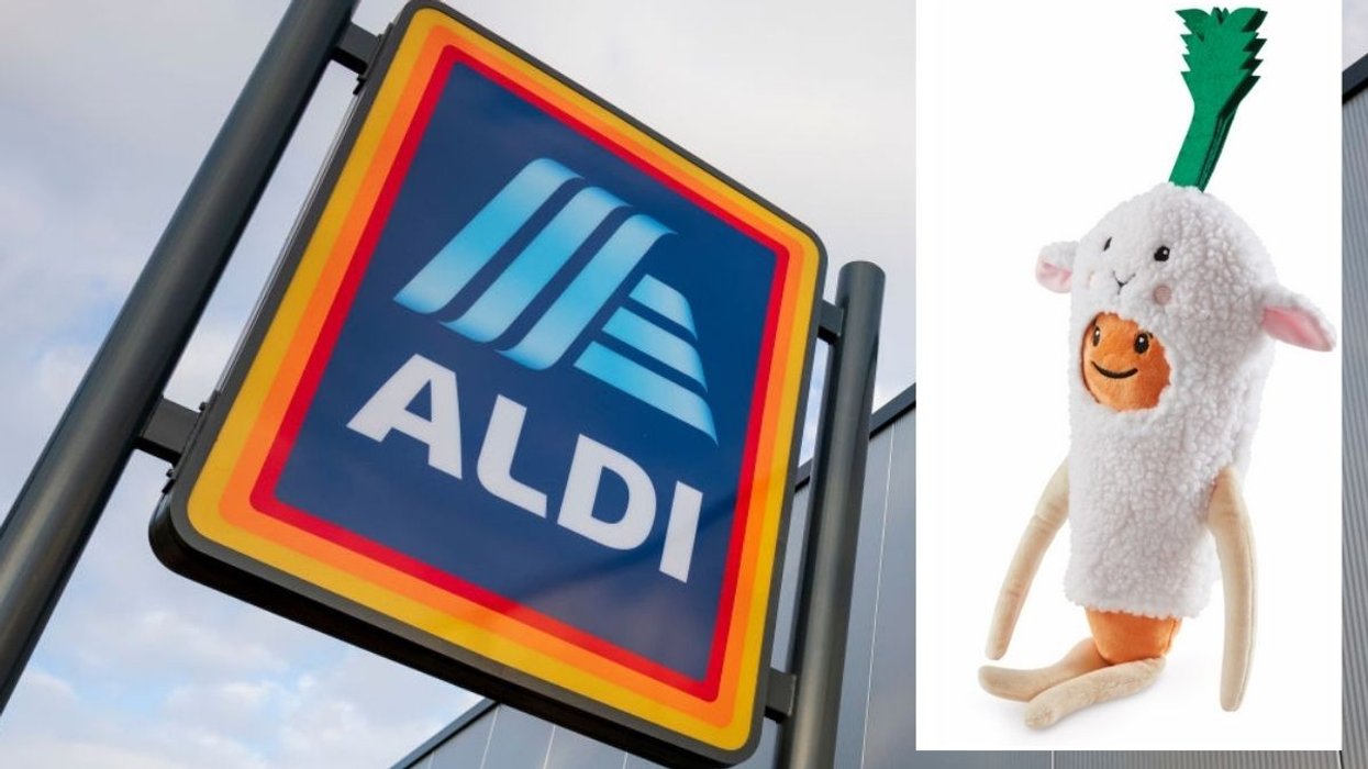 Aldi / Easter Kevin
