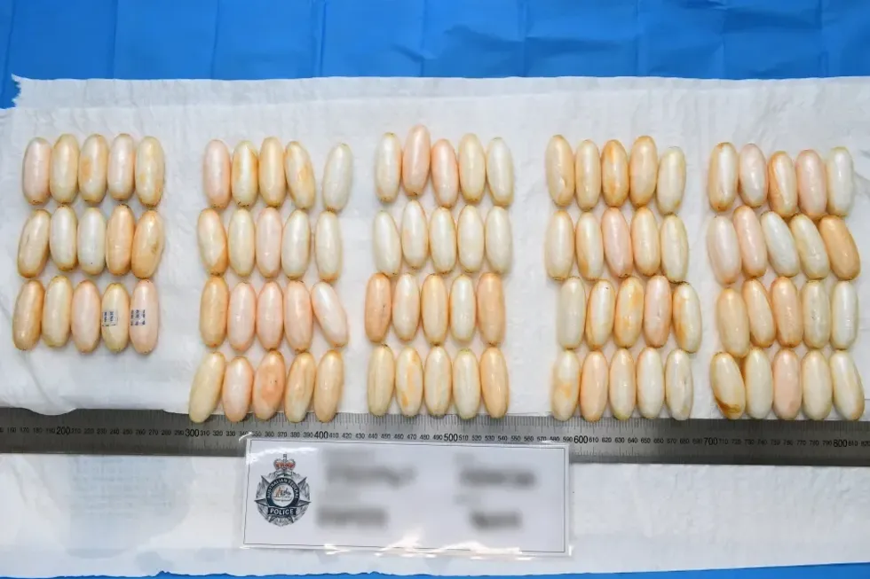 Alleged drug haul