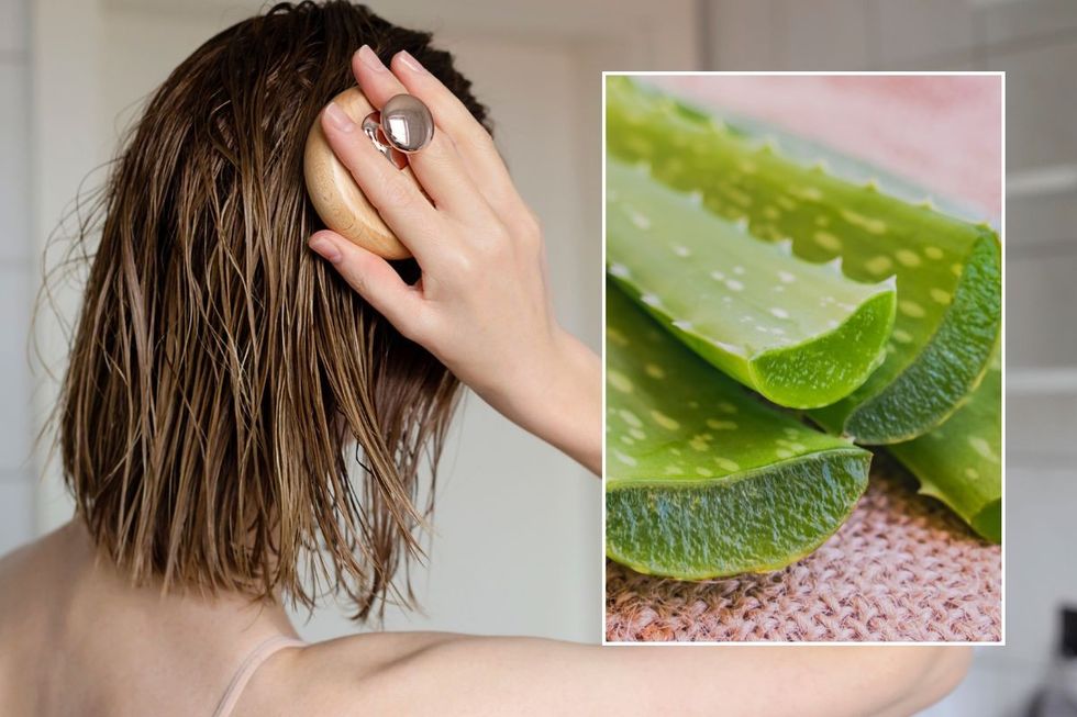 aloe vera in hair