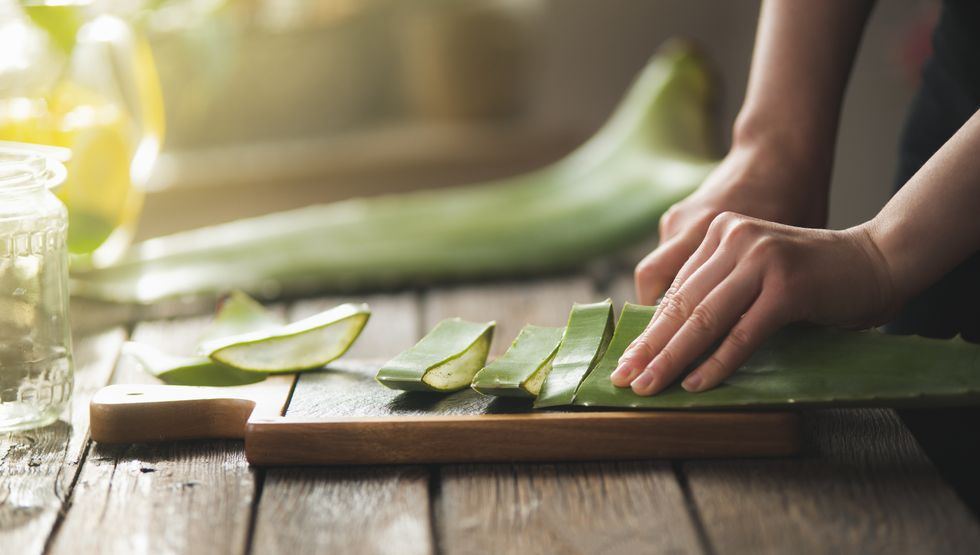 Aloe vera
