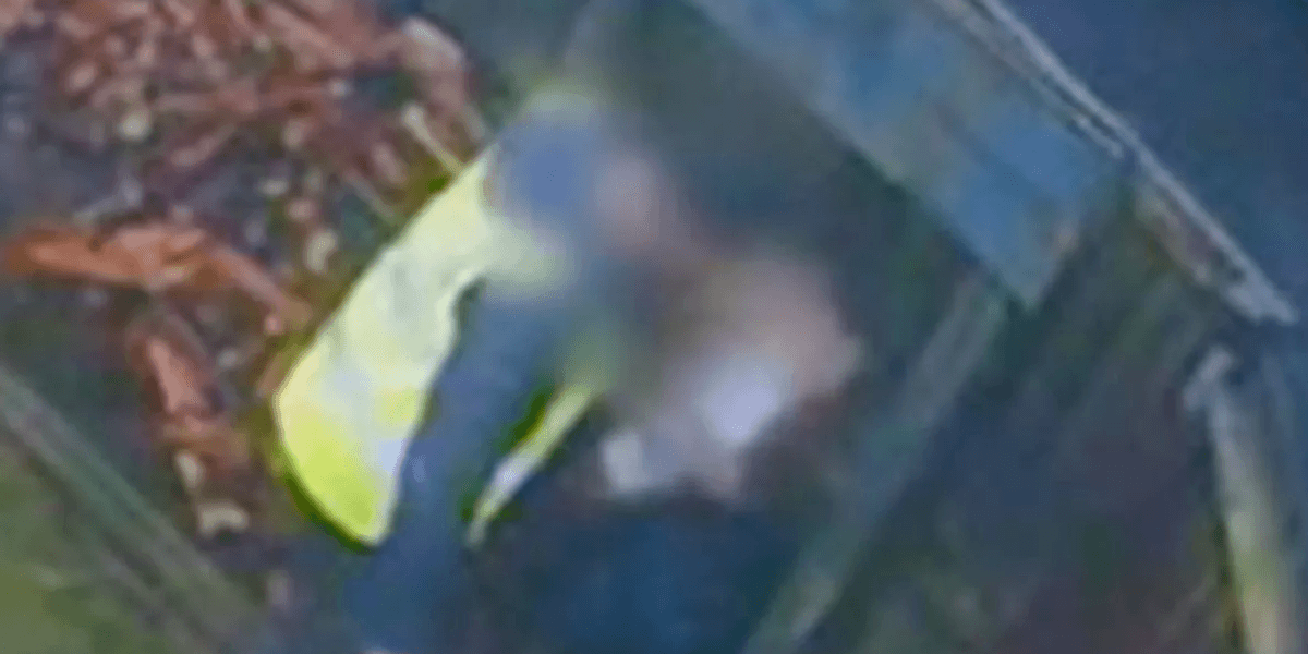 Amazon driver caught red-handed stealing parcel while dropping off own delivery