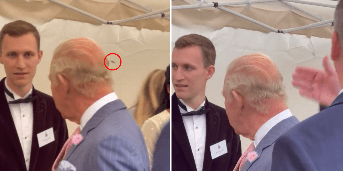 King Charles has wasp batted off his head by royal protection officer at garden party
