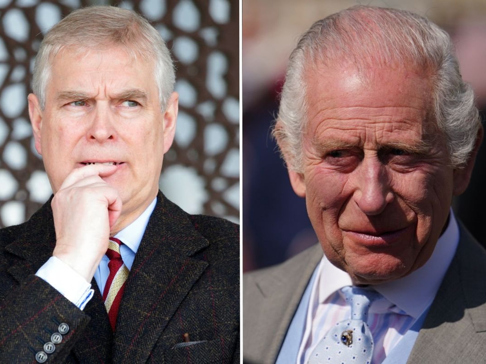 Andrew Mountbatten-Windsor and King Charles