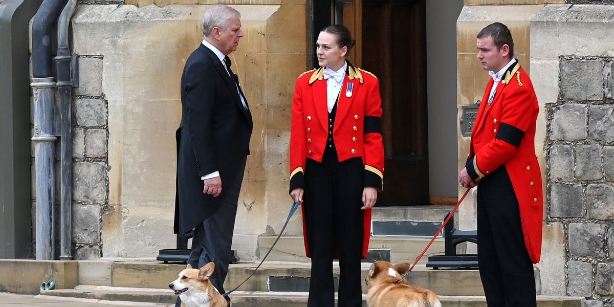 Queen’s corgis to stay with Andrew's family as Palace confirms Muick and Sandy update