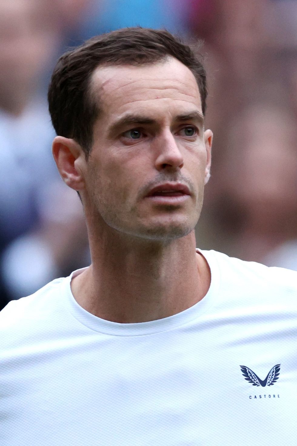 Andy Murray