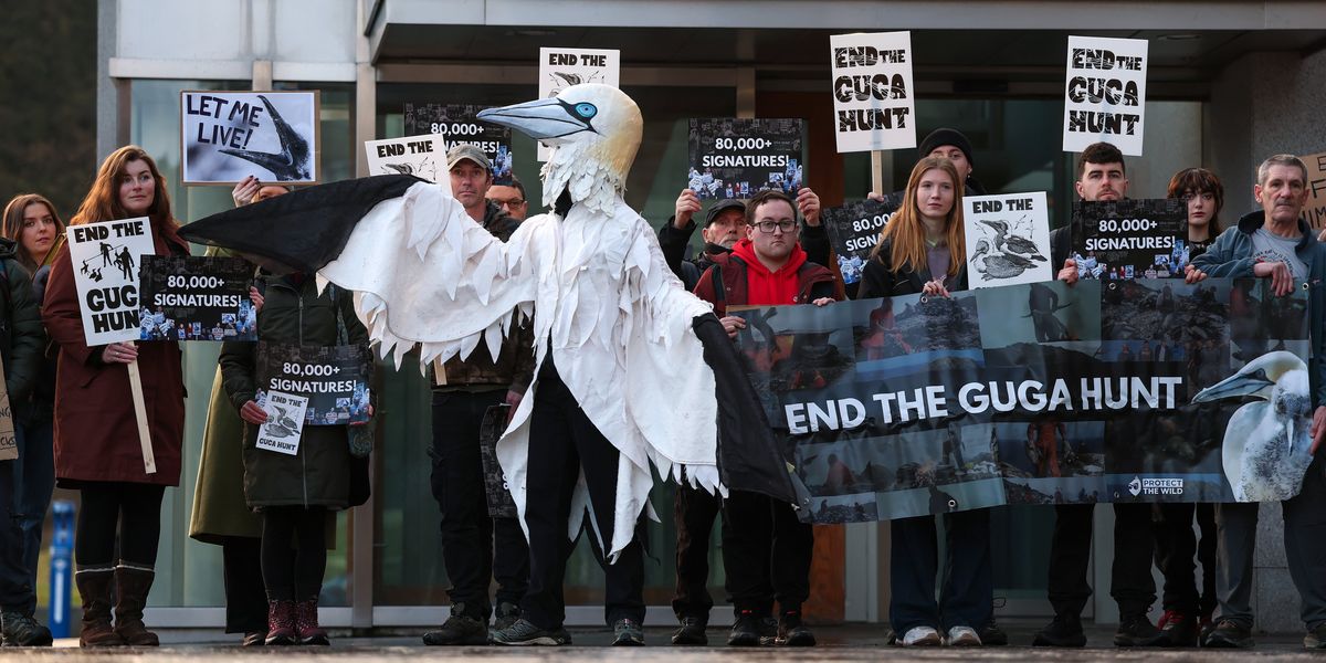 Centuries-old British tradition banned by SNP after violent 'animal rights' uproar