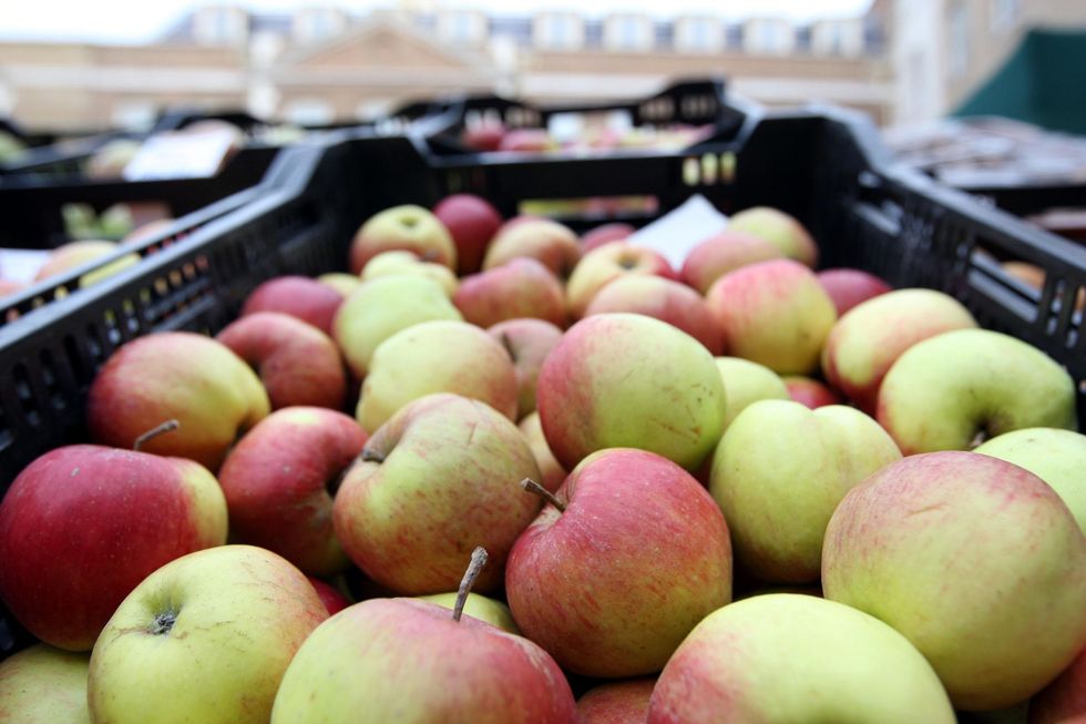 Apples