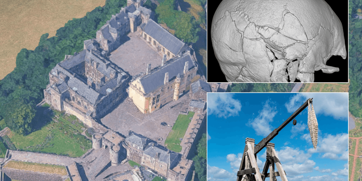 Archaeologists may have discovered first-ever victim of trebuchet attack more than 700 years ago