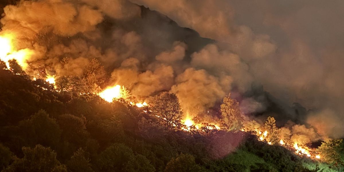 Firefighters to remain at Arthur's Seat for days after cliff face burnt black in wildfire