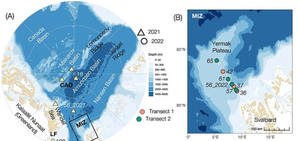 Artic Map