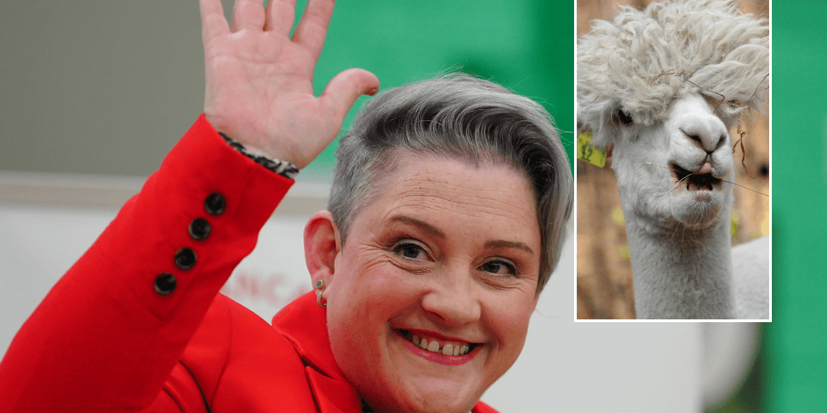 Starmer's new Health Minister claimed people can identify as LLAMAS after replacing Gwynne following WhatsApp sacking