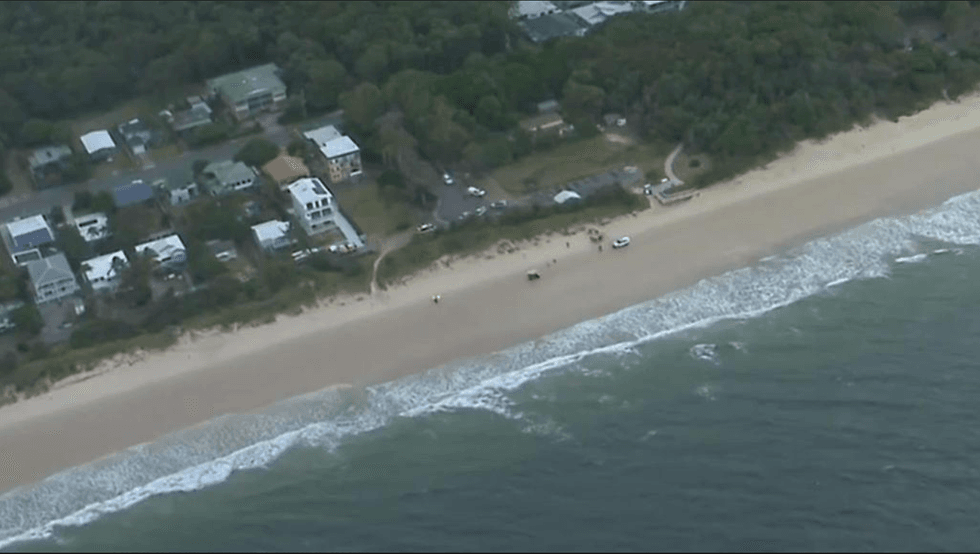 Australia shark attack