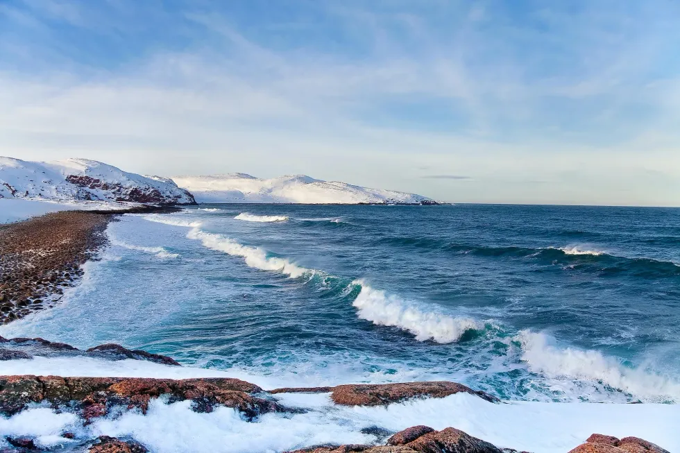 Barents Sea