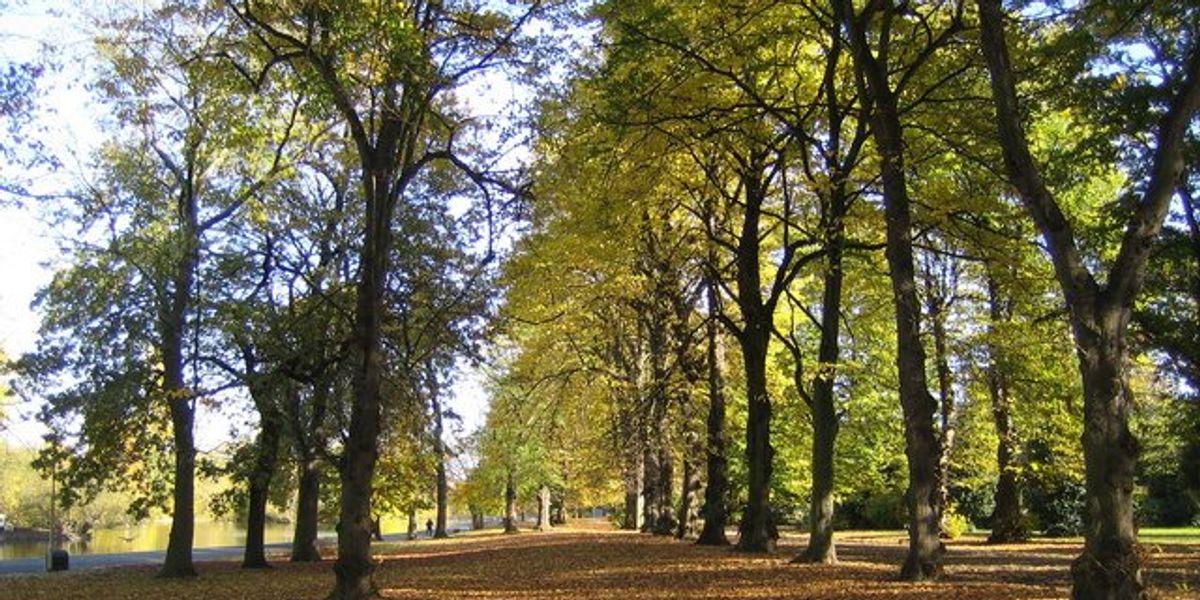 Two Afghans 'pinned woman down then raped her at knifepoint in London park', court hears