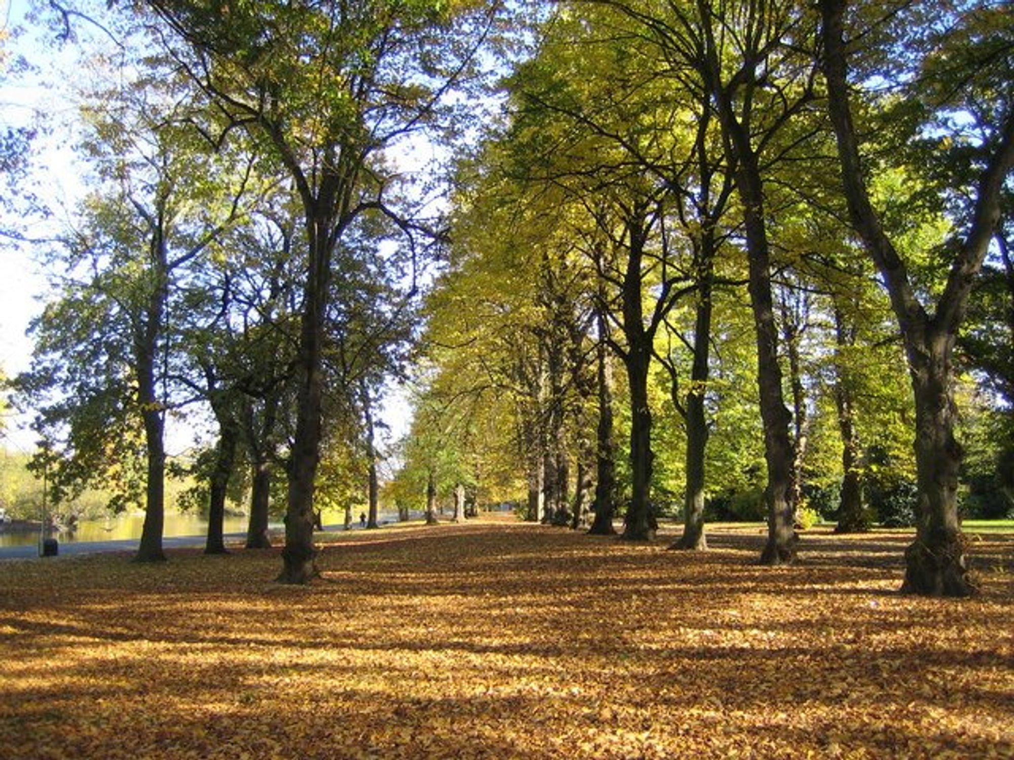 Barking Park