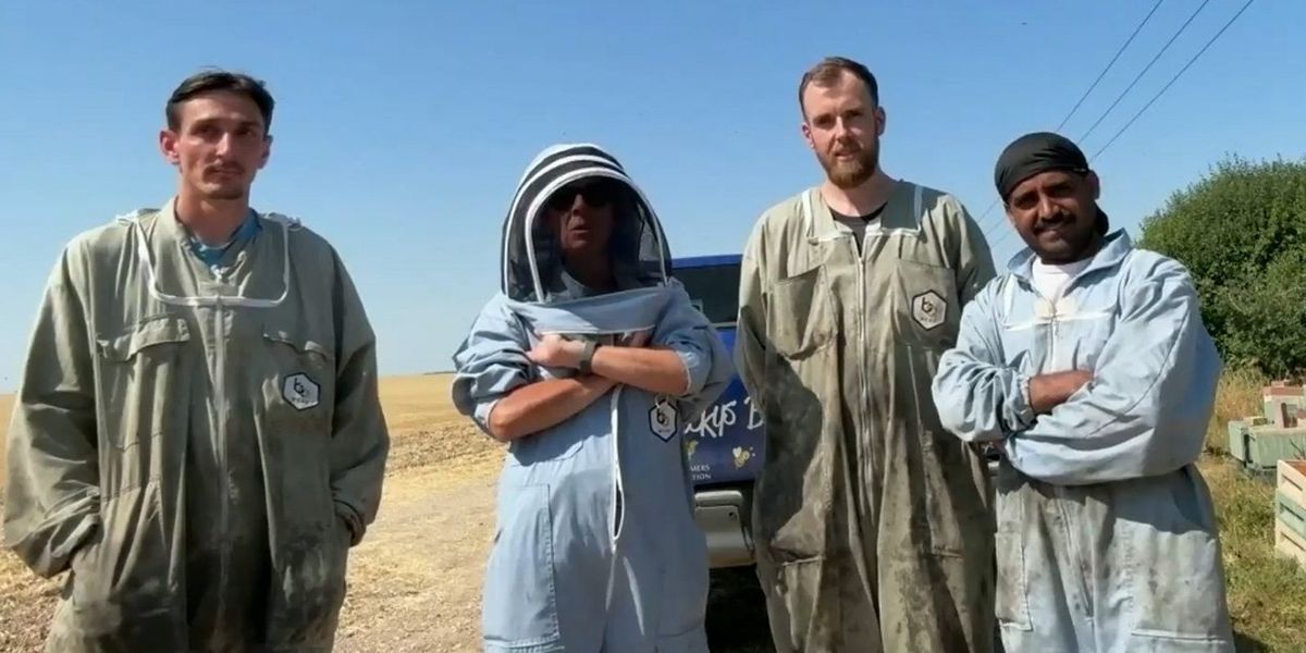 Heroic beekeepers tell GB News how they rescued colonies of bees from huge New Forest wildfire: 'We had to get them out'