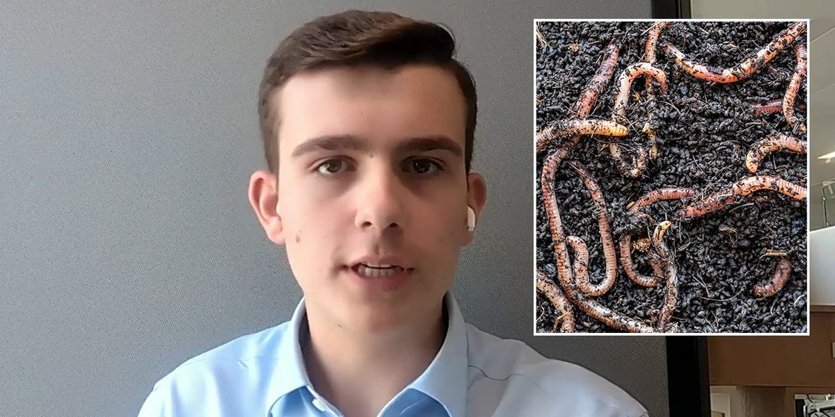 'What on earth?!' Civil Service blasted after asking staff to 'role-play as earthworms' as part of workshop