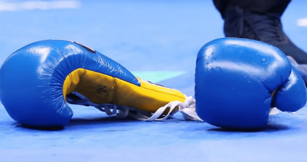 Boxing gloves