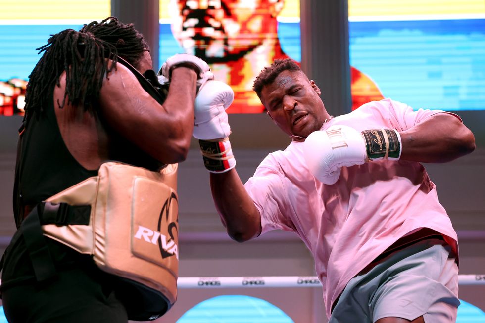 Boxing news Francis Ngannou