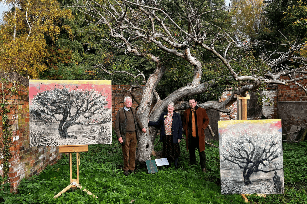 Bramley apple tree