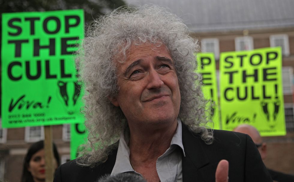 Brian May 