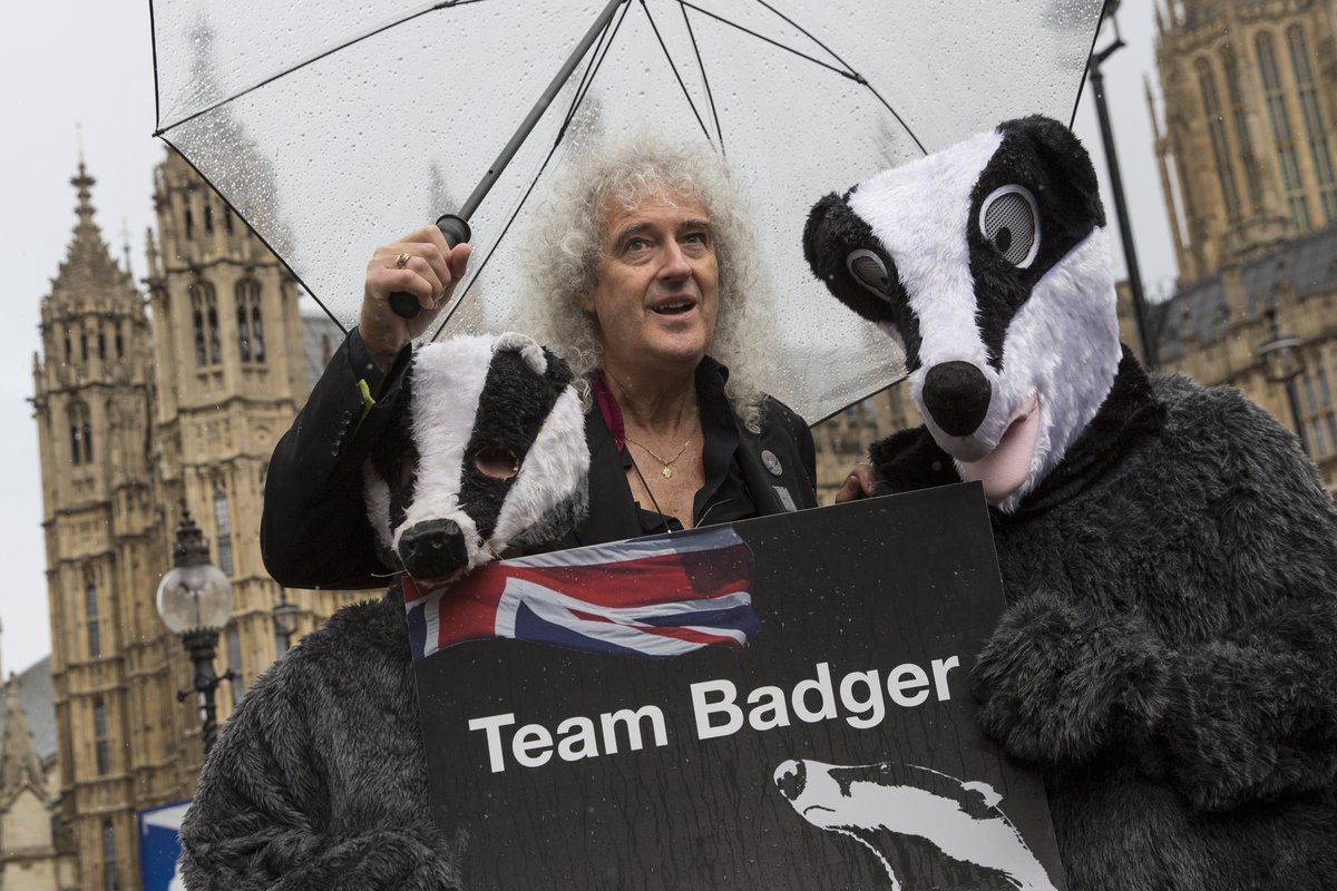 Brian May