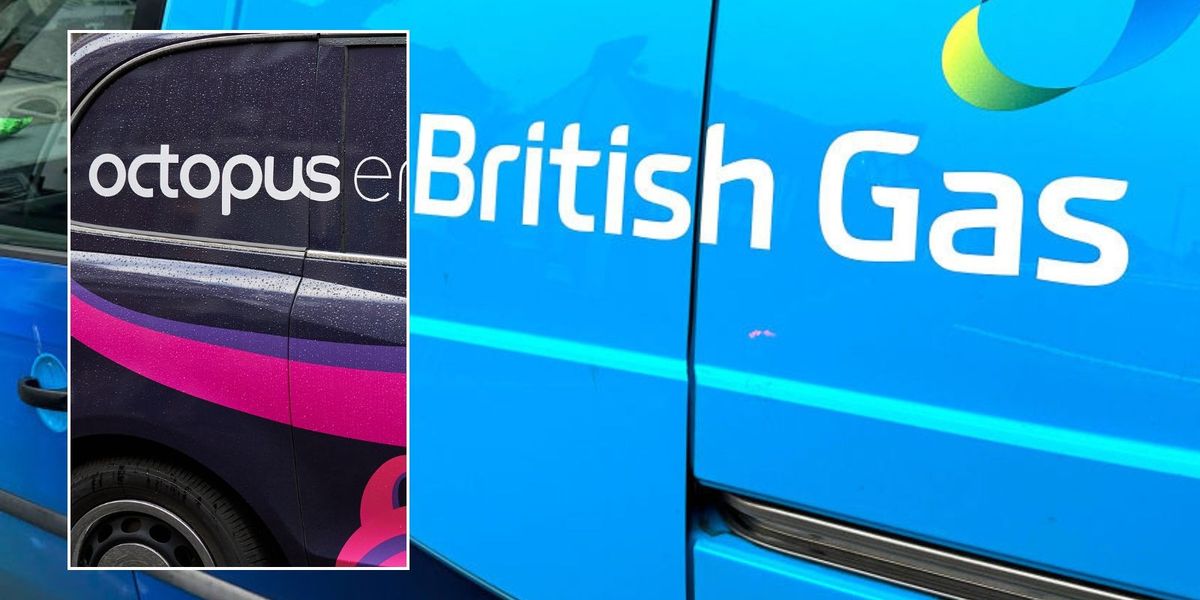 British Gas, Octopus and EDF customers could get £750 off energy bills - check if you're eligible