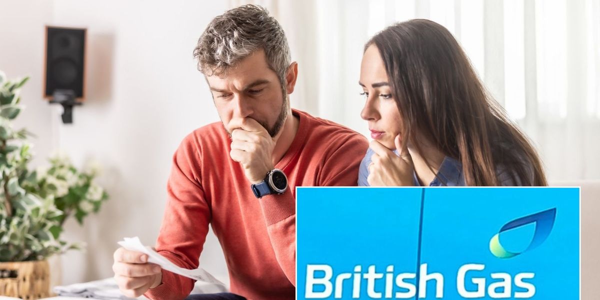 British Gas, OVO, EDF, and Octopus customers warned of 'vampire devices' adding £147 to energy bills