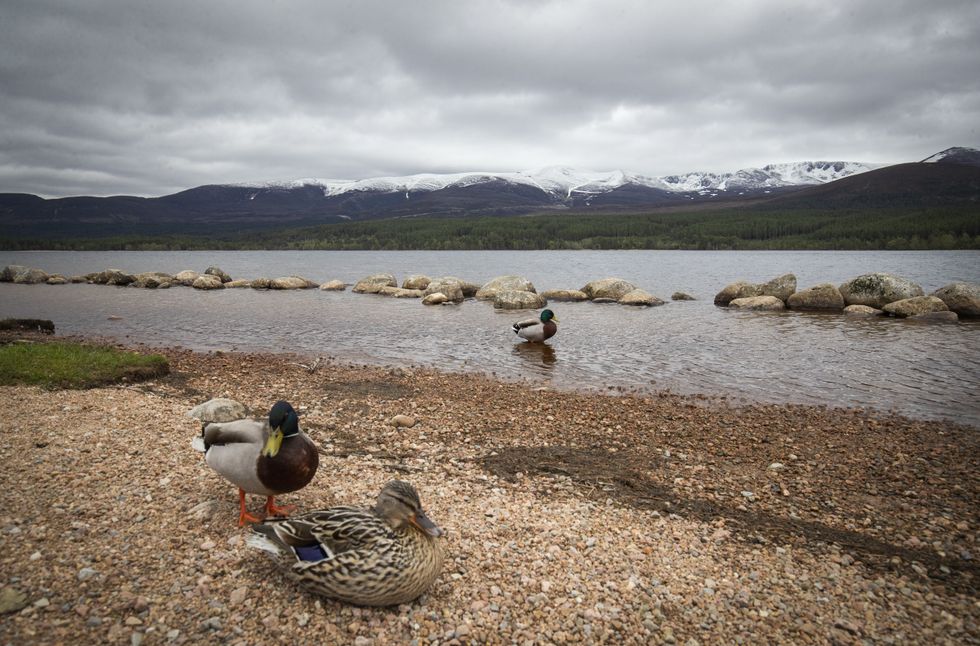 Cairngorms National Park