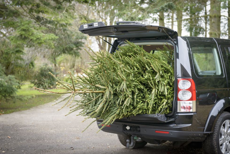 Car with a Christmas tree