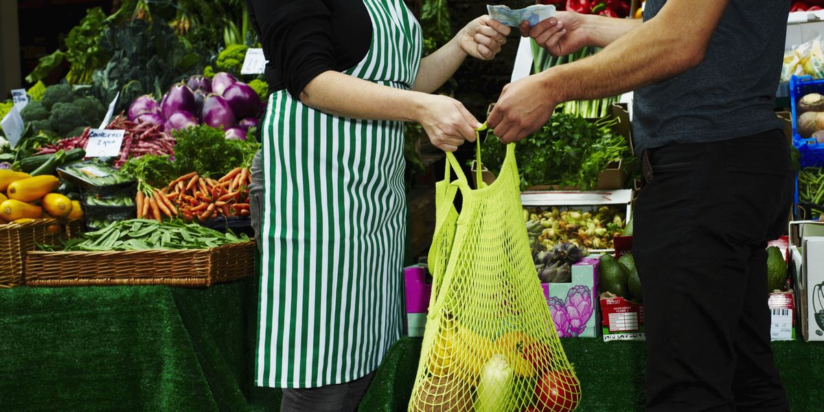 Cash usage grows for first time in decade