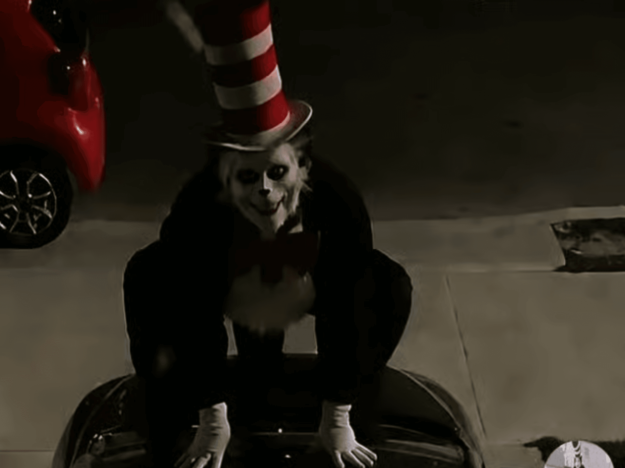 Cat in the Hat 'killer'