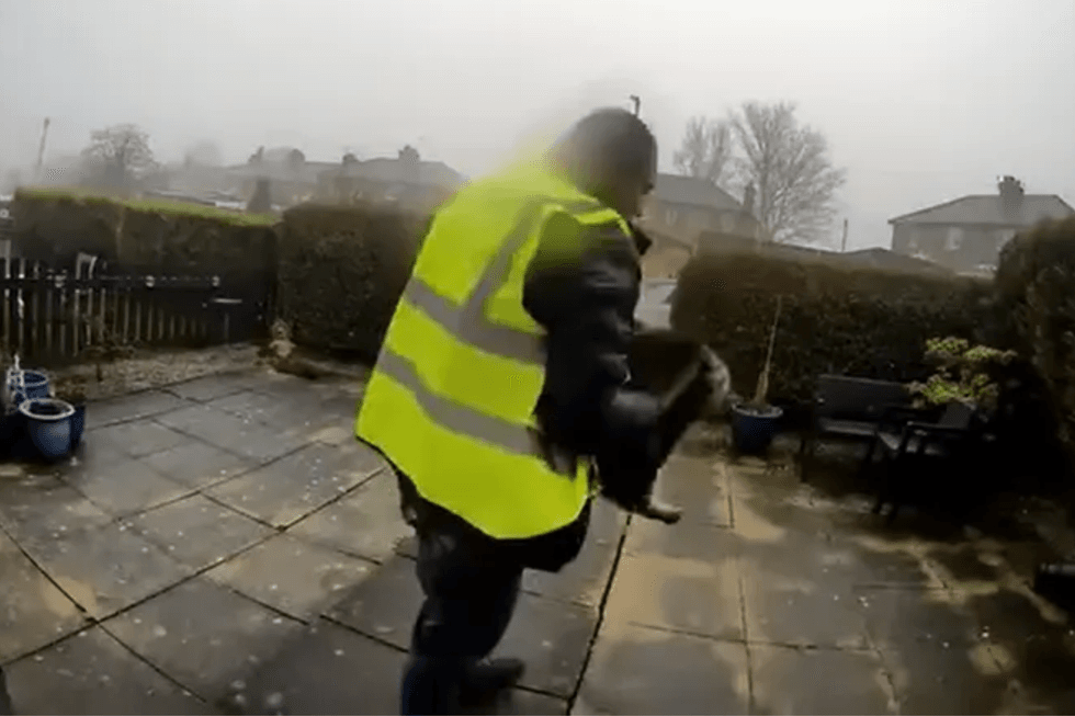 Catalin Stancu snatching a tabby cat from a family's front garden