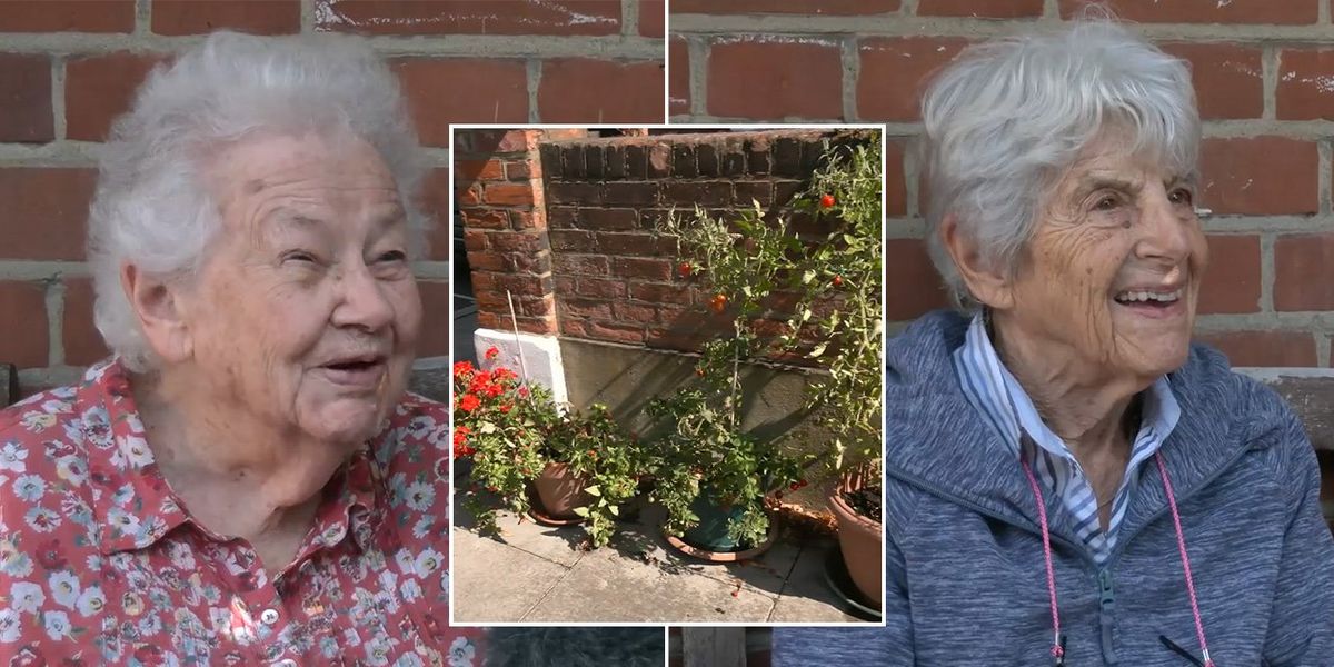 Council row erupts after Tory authority orders pensioner to remove street garden outside her home: 'I love doing it!'