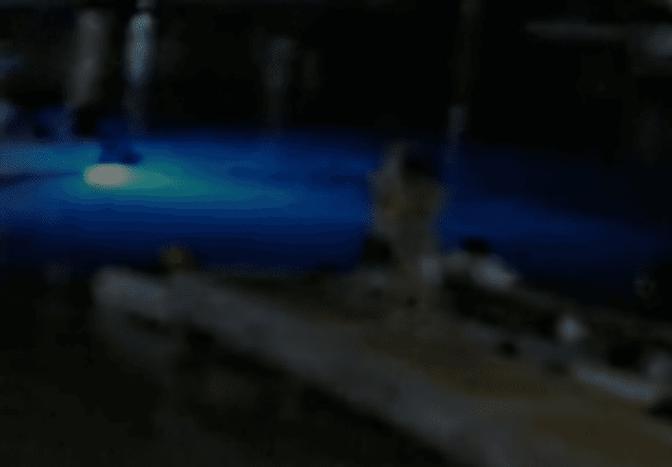 CCTV Footage
