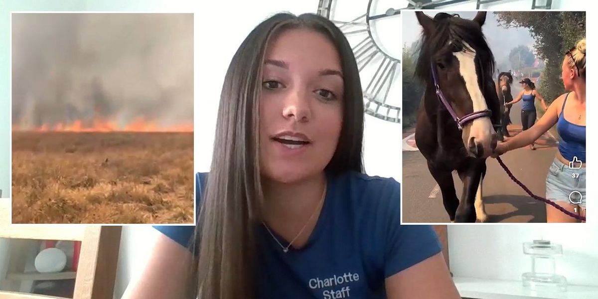 Heroic women risk their lives to rescue horses from burning land during Stourbridge wildfire: 'The field was gone in seconds'