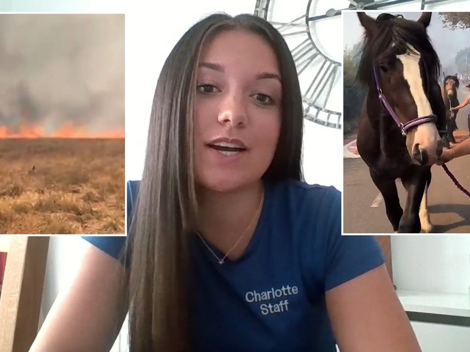 Charlotte Griffith, wildfire