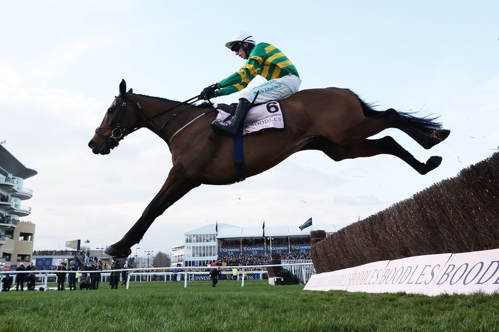 Cheltenham Gold Cup
