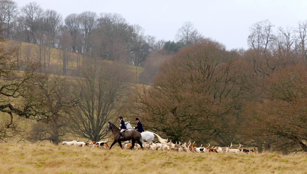 Chiddingfold