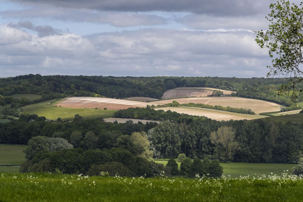 Chiltern Hills