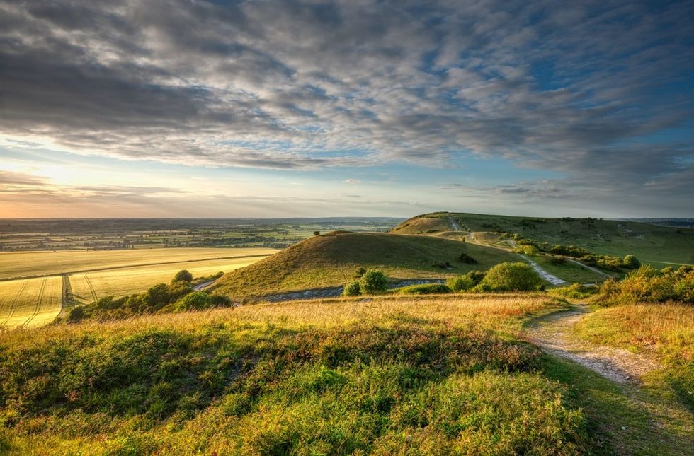 Chiltern Hills